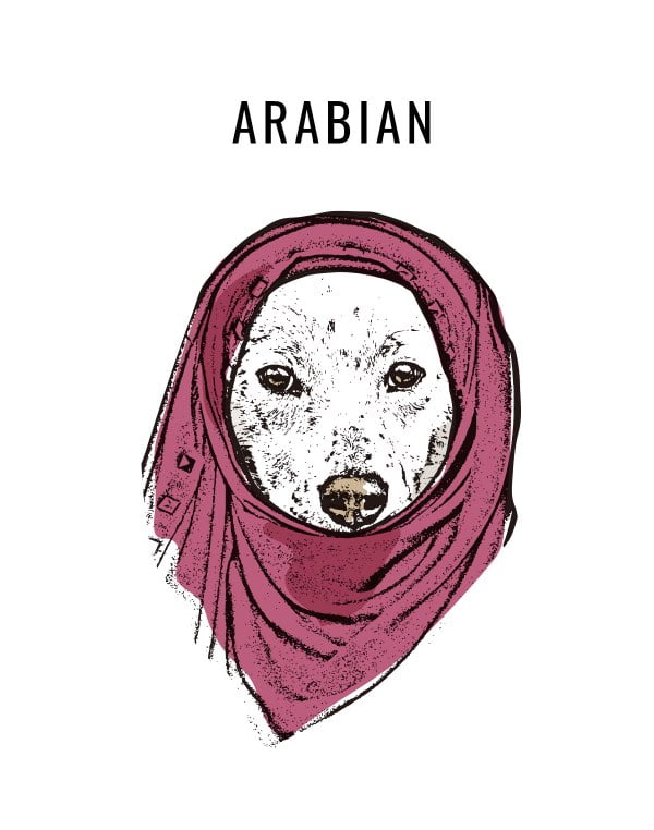 ARABIAN