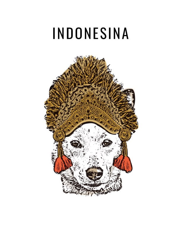INDONESIAN