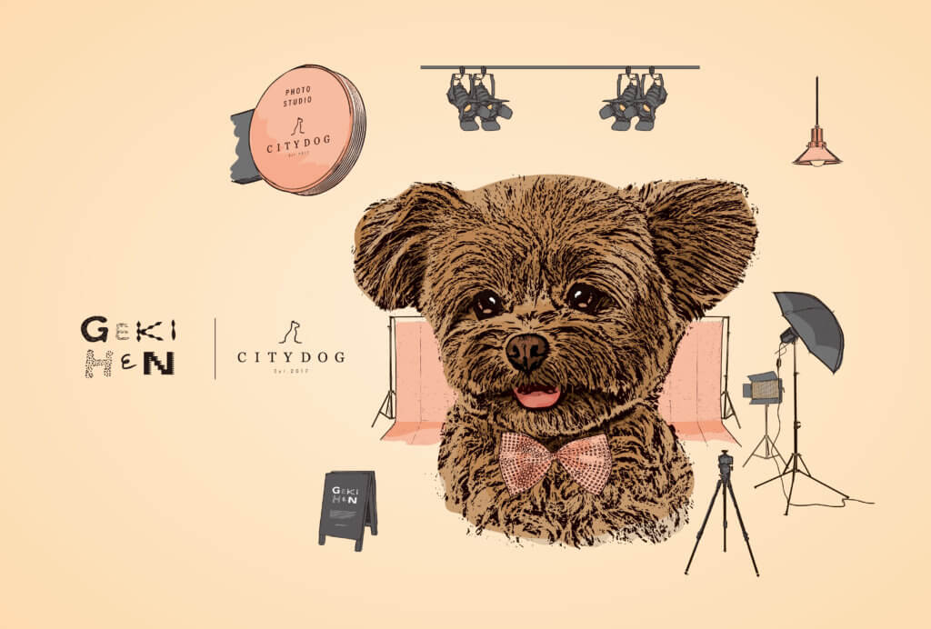 GEKIHEN × CITYDOG コラボレーション企画