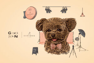 GEKIHEN × CITYDOG コラボレーション企画